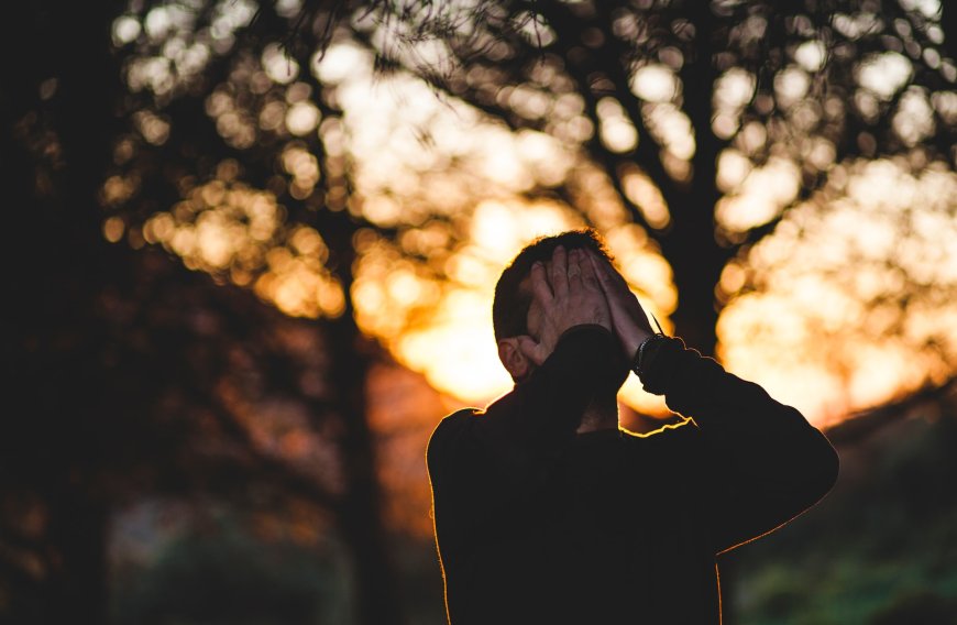 Stress: Begrijpen, Beheren en Overwinnen