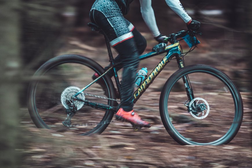 Ontdek de Mooiste Mountainbike Locaties in Nederland